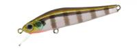 Rigge 56SP-SR #509