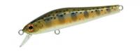 Rigge 56S #851