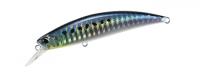 Sardine 70SW