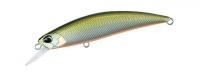 MNI4047 Tennessee Shad