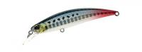 Sardine RT 80SW