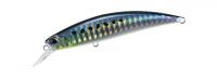AHA0011 Sardine 80 sw
