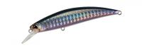 Belone 80SW