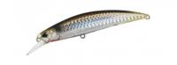 Waka Mullet 80SW