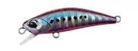 Red Sardine 42